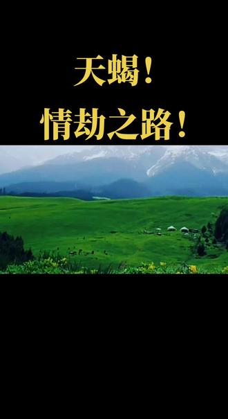 深情专一的天蝎座#天蝎座#星座解析#星座情感#治愈的风景