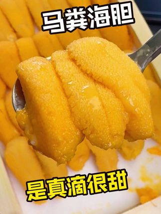 谁懂马粪海胆在夏天🌞的含金量啊❗️ #海鲜 #刺身美食 #日料 #海胆 #马粪海胆
