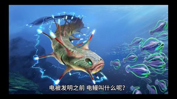 #动物世界 电鳗在古代叫什么呢?