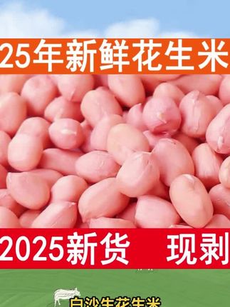 2025当季精选新鲜大粒粉红皮白沙生花生米现剥无壳新货新鲜菜榨油#红皮花生米#花生米