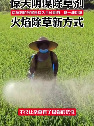 火焰除草取代除草剂,除草喷火枪,烧草机 火焰除草机横空出世