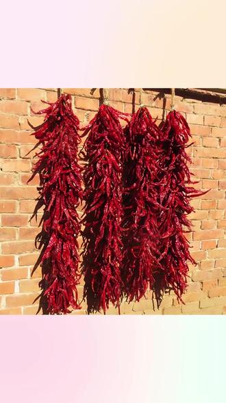 干辣椒串红辣椒厨房挂件真辣椒挂串手工编织辣椒挂件
#红辣椒 #干辣椒 #厨房挂件 #手工编织 #辣椒挂件