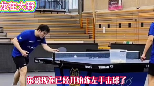 东哥现在已经开始练左手击球了!#樊振东 #体育精神 #国球乒乓 #一代宗师