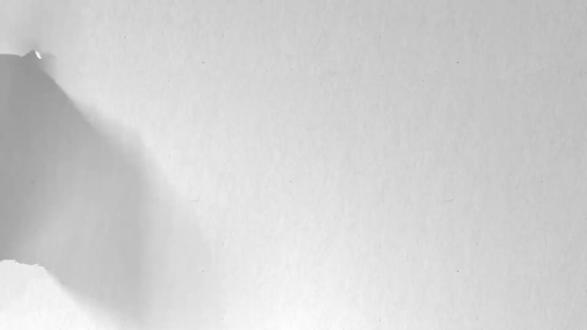 从0开始学剪辑,今天学的是——万物生长 #剪辑 #剪辑教程 #剪辑教程剪映 #万物生长 #教学