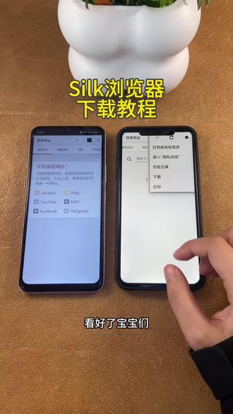 《初初资源》silk浏览器苹果安卓下载教程#silk浏览器 #silk浏览器下载教程 #silk #silk浏览器怎么下载 #浏览器