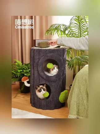 喵想树人宠共用凳子猫爬架猫窝猫树一体不占地四季通用宠物用品#猫咪的日常碎片 #猫窝推荐 #人宠共享 #好物推荐分享好物 #猫咪必备猫抓板
