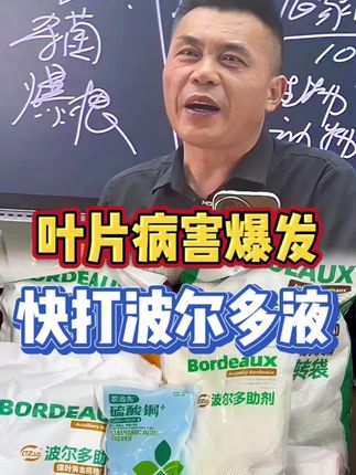 叶片病害爆发,赶紧打波尔多液#三农