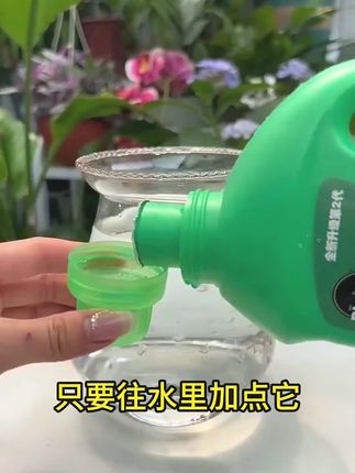 浓缩快速生根盆栽园艺生长喷施黄叶植物绿植营养液#营养液 #营养液植物 #营养液通用型养花肥料