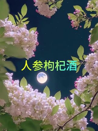 #人参枸杞酒#枸杞酒#人参酒