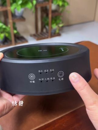 #电陶炉#围炉煮茶 #电陶炉煮茶 #煮茶器 #茶器之美