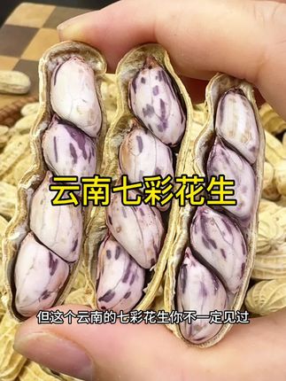 云南七彩花生,头一回吃就爱上!咸香酥脆干香干香!配料表超干净,优质坚果吃多也不担心#干果坚果 #云南七彩花生 #干果坚果 #休闲零食 #下酒菜
