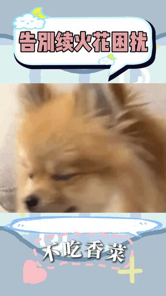 告别续火花困扰#多闪app #小火人AI聊天 #多闪