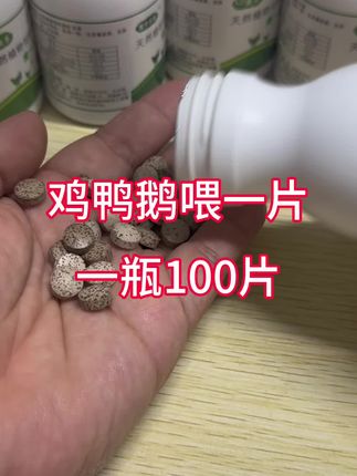 鸡鸭鹅养殖#养鸡小妙招 #农村散养土鸡 #鸡鸭鹅养殖 #鸡鸭鹅养殖方法
