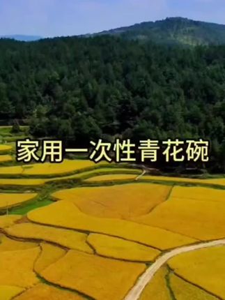 #抖音记录我的日常生活 #餐具 #一次性用品 #碗