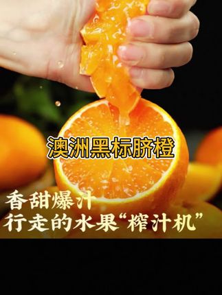 澳洲进口黑标甜橙大果冻橙当季限定新鲜水果香甜橙子 #优质水果 #黑标甜橙 #补充维生素 #新鲜采摘 #甜橙