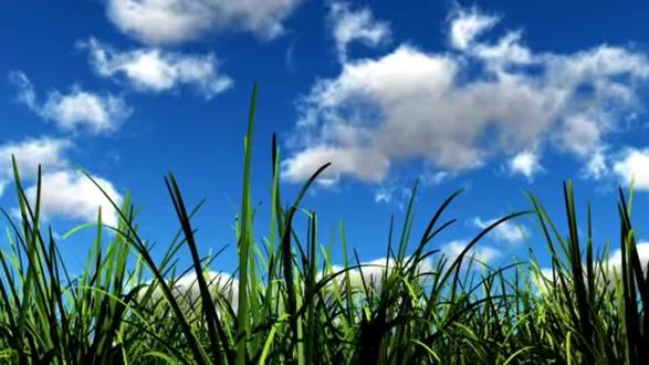 2026年3月7日(周六,农历正月十九)
今天是3月7日,农历正月十九,星期六,早安!正月十九,年味渐远,春光渐浓。周末的早晨,不妨放慢脚步,给自己一个深呼吸。休息不是懈怠,是为了更好地出发。愿你在这个周六,积蓄能量,下周以更饱满的热情继续前行。加油!#早安电台 #摄影 #创作者中心 #创作灵感