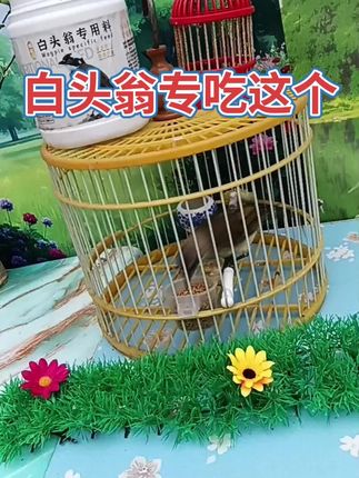 营养价值很高