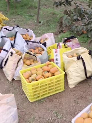 都说4秒能🔥 多1秒都不行 我来看看怎么个事