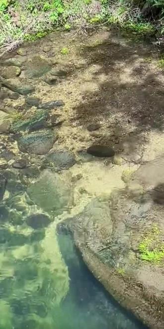 #许我耀眼 #赵露思 #陈伟霆 #赵露思 #许妍