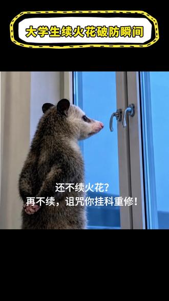 还不续火花?多闪小火人来提醒你续火花啦!#多闪 #多闪app #小火人AI聊天