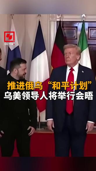 推进俄乌“和平计划” 乌美领导人将举行会晤