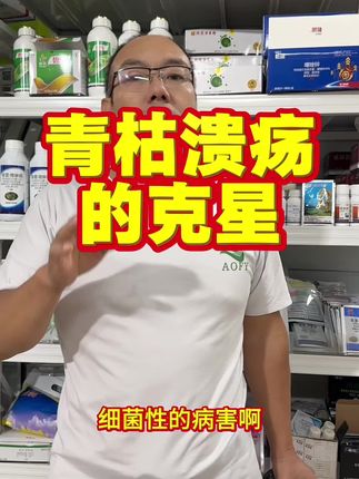 青枯病溃疡病角斑病等细菌性病害克星i #加收米#橙亮 #意莎农 #碧生 #德平农资 @李德平讲植保 @老李讲病虫害