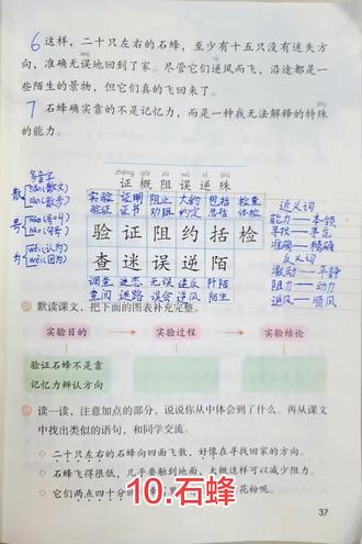 三年级下册语文第 10 课石蜂预习生字组词 #小学生 #三年级语文 10课 #石蜂 预习#生字组词 #语文素养