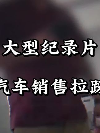 汽车圈《甄嬛传》传开播,小米成嬛嬛了