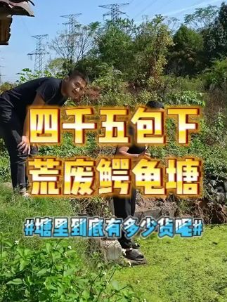 #小飞哥#包塘#三农 #乡村守护人 #我的乡村生活