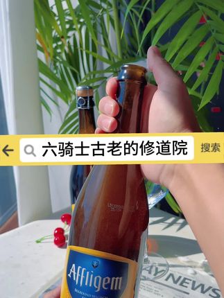 充满历史传奇色彩的比利时啤酒 #六骑士啤酒 #古老的修道院啤酒 #进口啤酒
