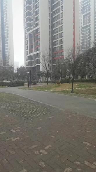 2026年1月3日,下雪啦