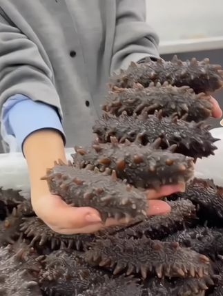 即食海参 99 元直接带走 30 只!#即食海参#源头工厂