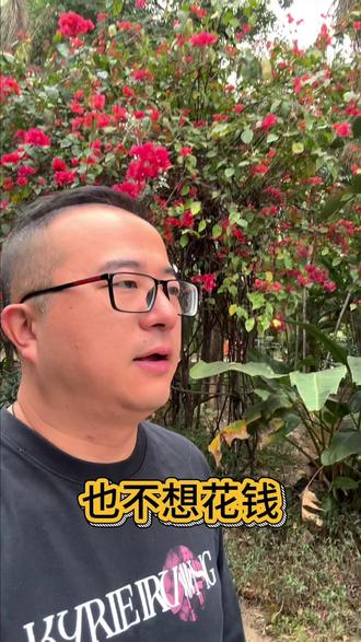 情人节,挑战完全用 AI 编程给女儿做一朵电子玫瑰花 我成功了吗?#少儿编程 #AI编程 #豆包 #TRAE