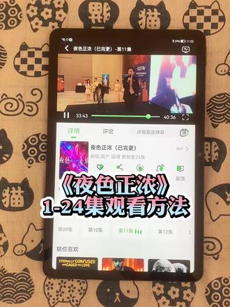 ~dd182AMKmD~《夜色正浓》1-24全集抢先看,江疏影的演技太好吧。 #夜色正浓 #江疏影 #佟大为 #夜色正浓全集 #夜色正浓大结局