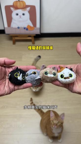 自带猫语系统的喵喵球, 一触碰就响,可以持续吸引猫咪的注意力,大小猫猫都喜欢#猫咪叫叫球#喵喵球 #新手养猫