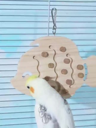 #鹦鹉拔塞玩具