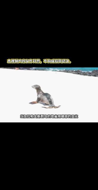 达尔文与华尔街的奇妙邂逅:生物进化论中的投资大智慧 当加拉帕戈斯群岛的地雀用喙部的变化诠释生存法则时,远在半个地球外的华尔街精英们突然发现,这些自然界的进化智慧竟然藏着投资的终极密码。
在投资界的丛林中,一种全新的思维方式正在悄然改变着游戏规则。那烂陀资本创始人普拉克·普拉萨德管理的基金在15年内获得了15倍的收益,年化复利收益高达20.3%,而他的灵感源泉并非传统的经济学理论,而是达尔文的进化论。
这种将生物学思维应用于投资实践的新范式,正为我们提供一个理解市场复杂性的全新视角。
自然界的风险规避课:从熊蜂到巴菲特
在科学家的实验中,熊蜂一旦被机器蟹蛛捕获过,此后即便在没有威胁的情况下也会避开那些危险地带,宁愿降低觅食效率也要确保安全。这种本能反应使熊蜂这一物种在地球上生存了3000万年之久。
普拉萨德将这种自然界的生存法则引入投资领域,提出了与巴菲特不谋而合的投资准则:“第一条规则是永远不要赔钱,第二条规则是永远不要忘记第一条规则”。
成功的投资者像熊蜂一样,在风险控制和收益优化之间找到平衡点。他们不为追求高回报而冒进,而是通过反复验证和渐进式布局,在确保安全的前提下逐步提升收益。巴菲特投资可口可乐的经历就是明证:从1988年开始小额试探性购买,在确认其品牌优势和现金流稳定性后,次年才将持仓量大幅增至10亿美元。
市场如生态系统:找准你的生态位
理解市场生态是生物学思维应用于投资的第一课。资本市场就像一个庞大的热带雨林生态系统,不同的参与者占据着不同的生态位。价值投资者、成长投资者、短线交易者、量化基金……每种策略都有其生存之道。
普拉克·普拉萨德提出的“生态系统平衡”理论强调,投资组合应该像成熟的生态系统一样保持多样性和稳定性。他建议构建三层投资组合结构:以“关键物种”型企业为基石,配置具有强大进化潜力的成长型企业,并保留少量机会型资产用于捕捉市场波动带来的短期机会。
这种层次分明的配置结构,在保持组合稳定性的同时,维持了充分的进化活力。
企业如生命体:识别真正的竞争优势
雄孔雀华丽的尾羽看似是一种“非理性”的进化现象,却为我们提供了识别企业竞争力的独特视角。这些华丽的羽毛不仅增加了40%至60%的能量消耗,还降低了逃避捕食者的能力,但正是这种“奢侈性特征”成为雌孔雀选择配偶的关键指标,因为它证明了持有者的基因质量。#每天分享科普知识 #进化论#干货分享 # 投资理财#