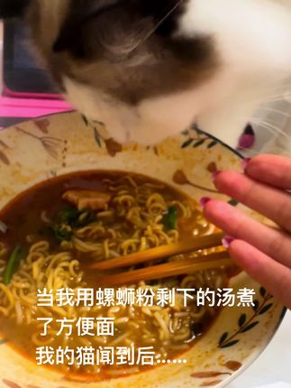 拦都拦不住,左右都来进攻了好几次,差点让它吃上了#嗦粉 #螺蛳粉 #冰鲜螺蛳粉