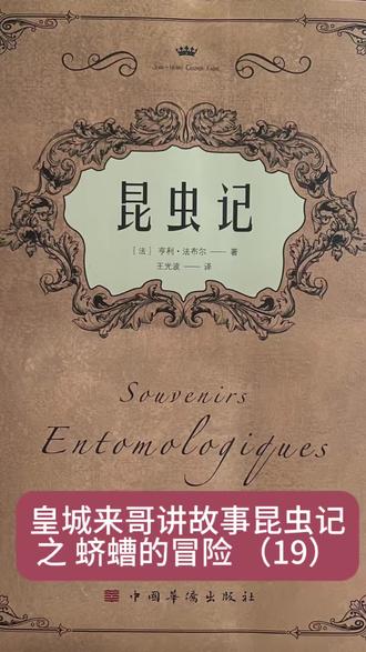 皇城来哥讲故事:昆虫记之蛴螬的冒险(19)