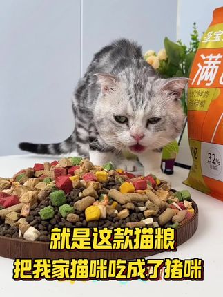 想要猫咪长得好,一款好的猫粮肯定是必不可少的!这款圣宝罗全价冻干猫粮就不错!#养猫新手 #新手养宠 #萌宠好物 #科学养宠攻略 #好物推荐🔥