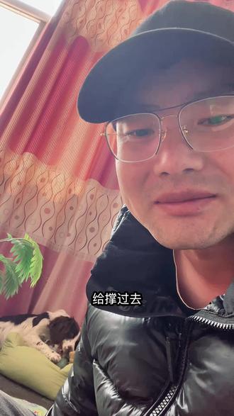 谁说狗不怕撑?别瞎信#狗狗