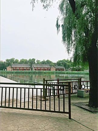 去新疆路上还没开始就状况百出,希望接下来顺利#面膜 #强烈推荐 #新疆 #远行#搞笑