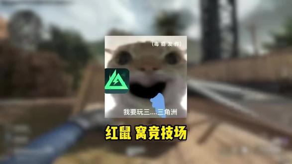 红鼠窝3v3v3超上头。#三角洲行动 #卡了电竞
