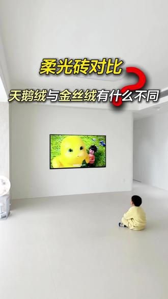 还分不清柔光砖?天鹅绒和金丝绒的区别一次性讲透
