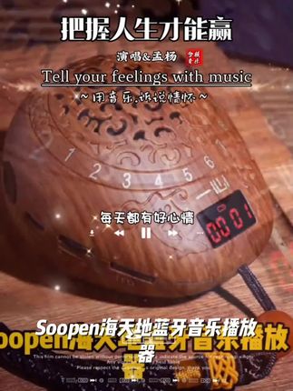 Soopen/海天地蓝牙音乐播放器复古重低音专用播放器#城市交通新变化 #交通赔偿 #路况预判 #家庭饮品