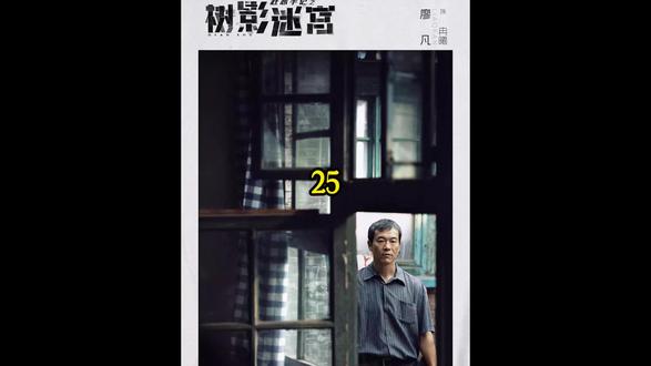 【树影迷宫】25集丨看高手之间的对决让人赏心悦目! #树影迷宫 #影视解说 #好剧推荐 #新剧来袭 #因为一个片段看了整部剧