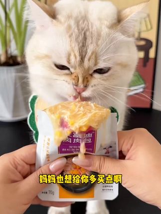 养猫人赶紧薅!麦富迪9.9的羊毛礼包好划算! 到手足足9件!都是猫咪爱吃的~#萌宠好物 #新手养猫 #养猫经验分享 #抖in萌宠计划