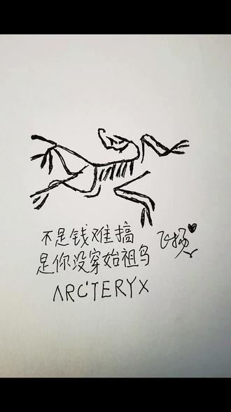 感谢始祖鸟给我寄来的索拉诺down羽绒服 不是钱难搞,是你没穿始祖鸟#始祖鸟 #始祖鸟官方授权店 #今天的目标是赚两万 #到底要挣多少钱 #不是钱难搞是你没穿始祖鸟