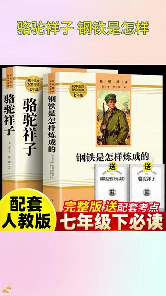 寒假不读这几本
七年级语文考试必吃亏
阅读题和作文分都藏在这里 #骆驼祥子 #钢铁是怎样炼成的