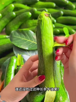 这牛油果长 “跑偏” 了?但好吃到想原地劈叉!,家人们谁懂啊!第一次见这么长条的牛油果,还以为是变异了… 结果切开直接惊到!果肉嫩到像在抿奶油,一点涩味都没有,连核都比普通的小一半!抹面包、拌沙拉、打奶昔都绝了,一个管饱还低卡,减脂党狂喜!再不下手要被抢光啦!,#脆甜多汁 #牛油果 #快来一起尝个鲜 #牛油果的神仙吃法